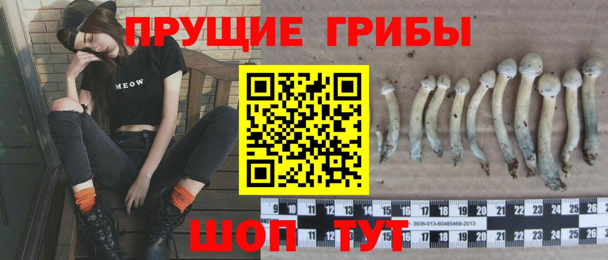 Галлюциногенные грибы ЛСД Кольчугино